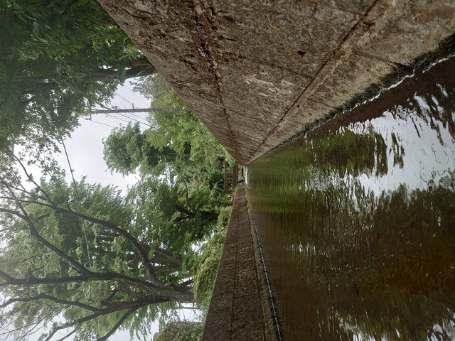 DSC_0240-36078.JPG